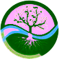 Sandy Creek Landscaping
